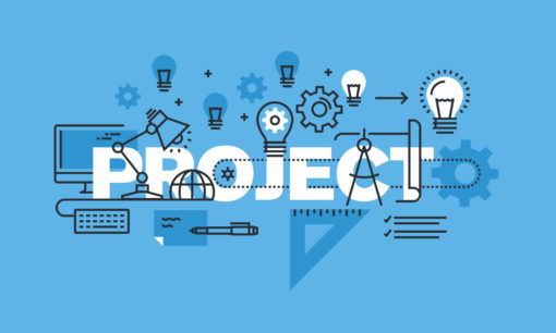 Project Management Professional